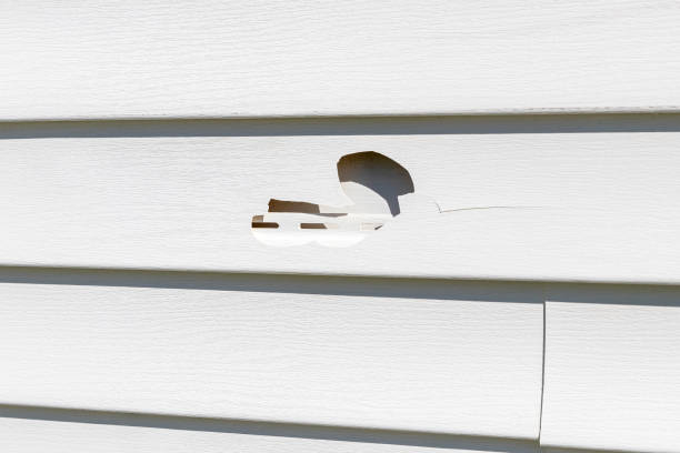 Best Shed Removal  in Pierre, SD