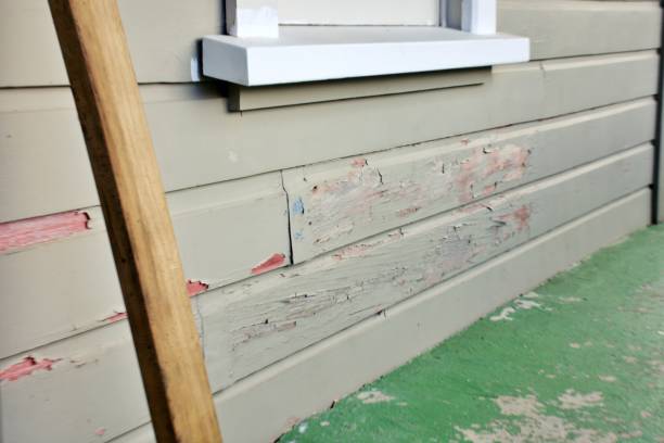 Best Hoarding Cleanup  in Pierre, SD